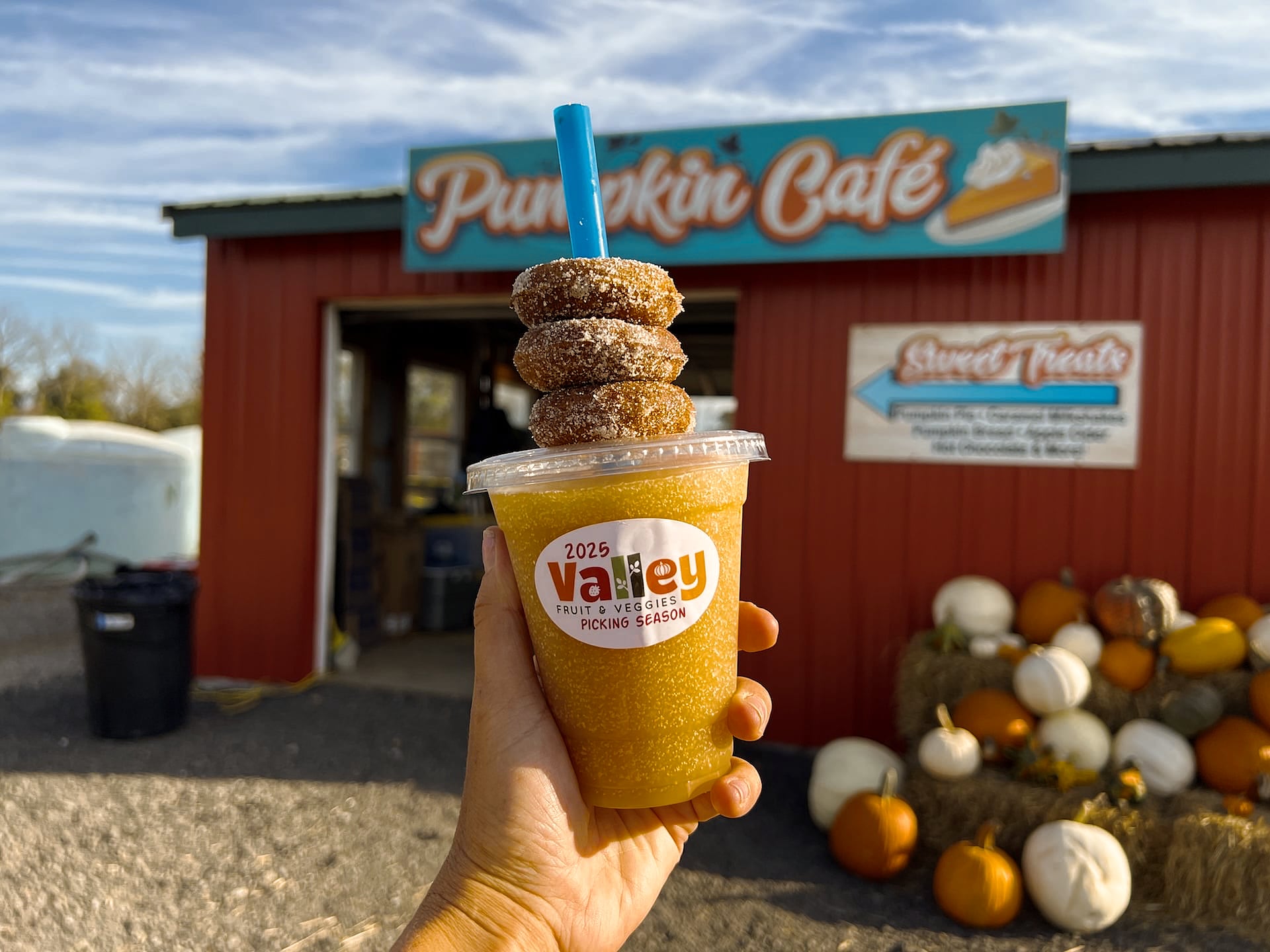 Pumpkin Cider Donuts