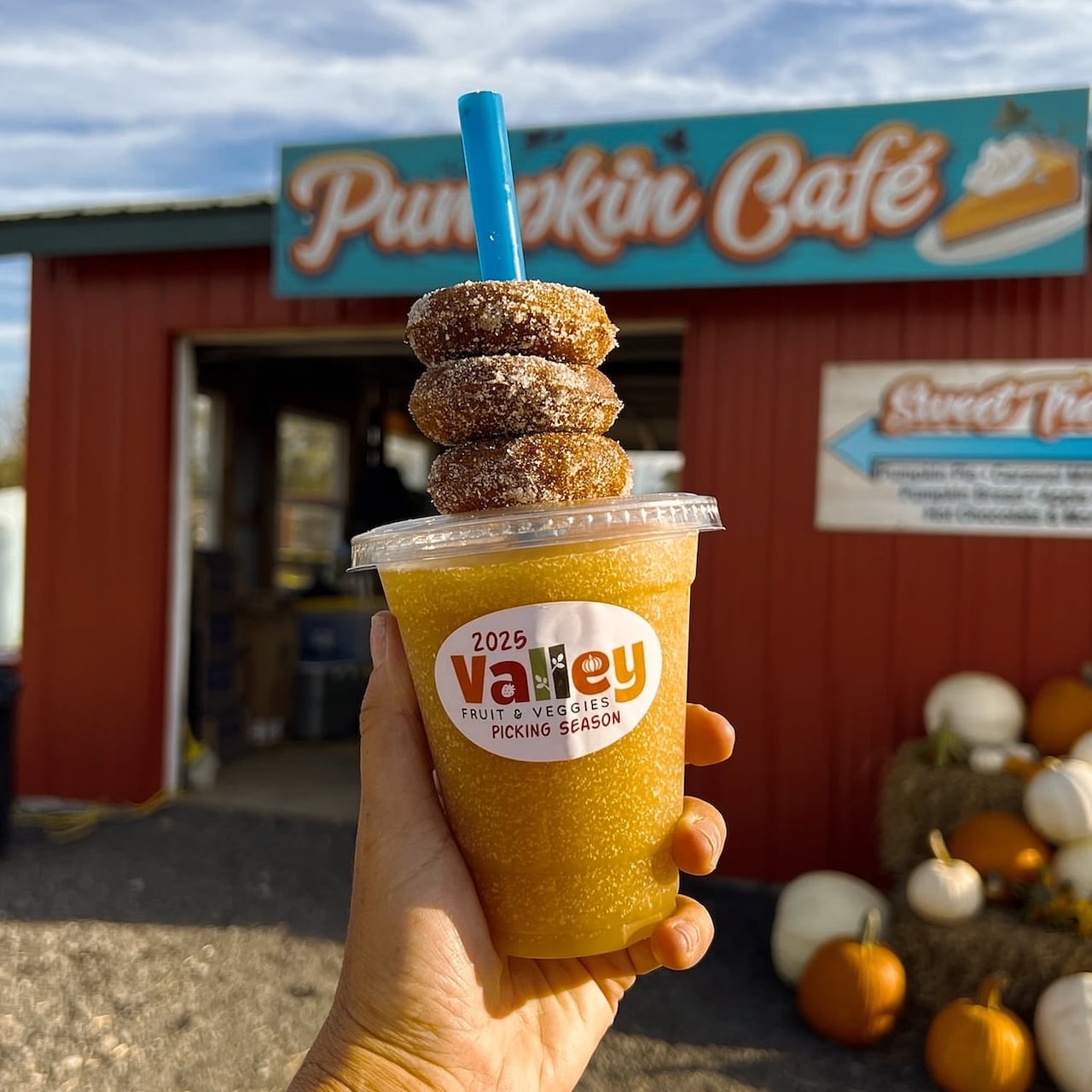 Pumpkin Cider Donuts