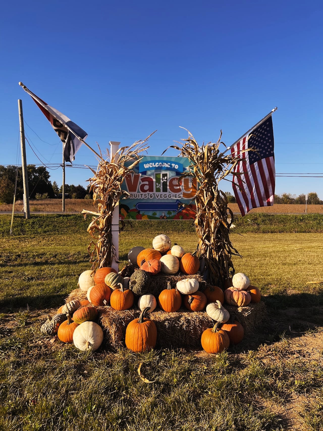 Welcome to VFV Fall Fest