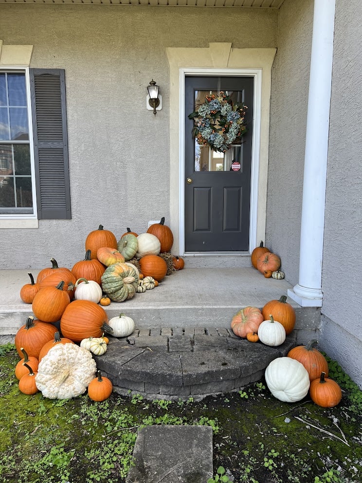 Package #2 - Pumpkin Lover - Image 2