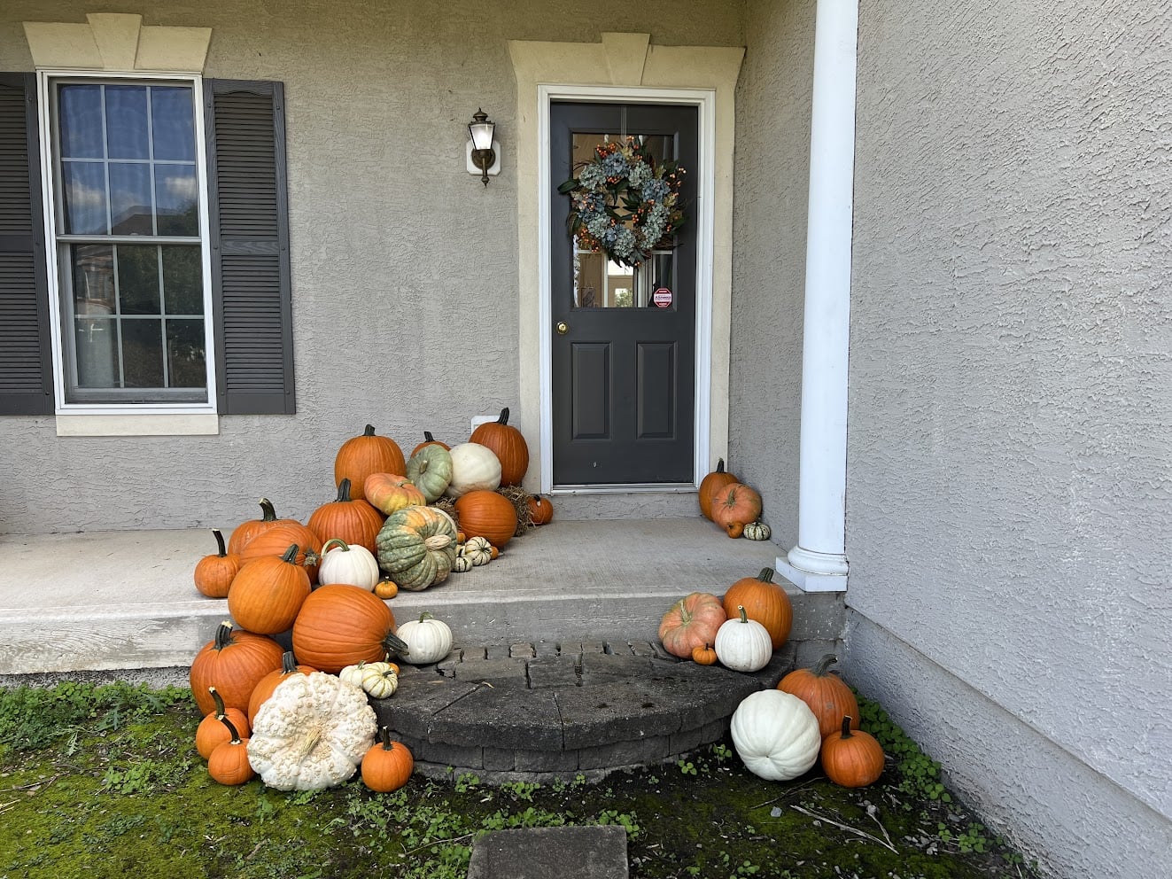 Package #2 - Pumpkin Lover - Image 3