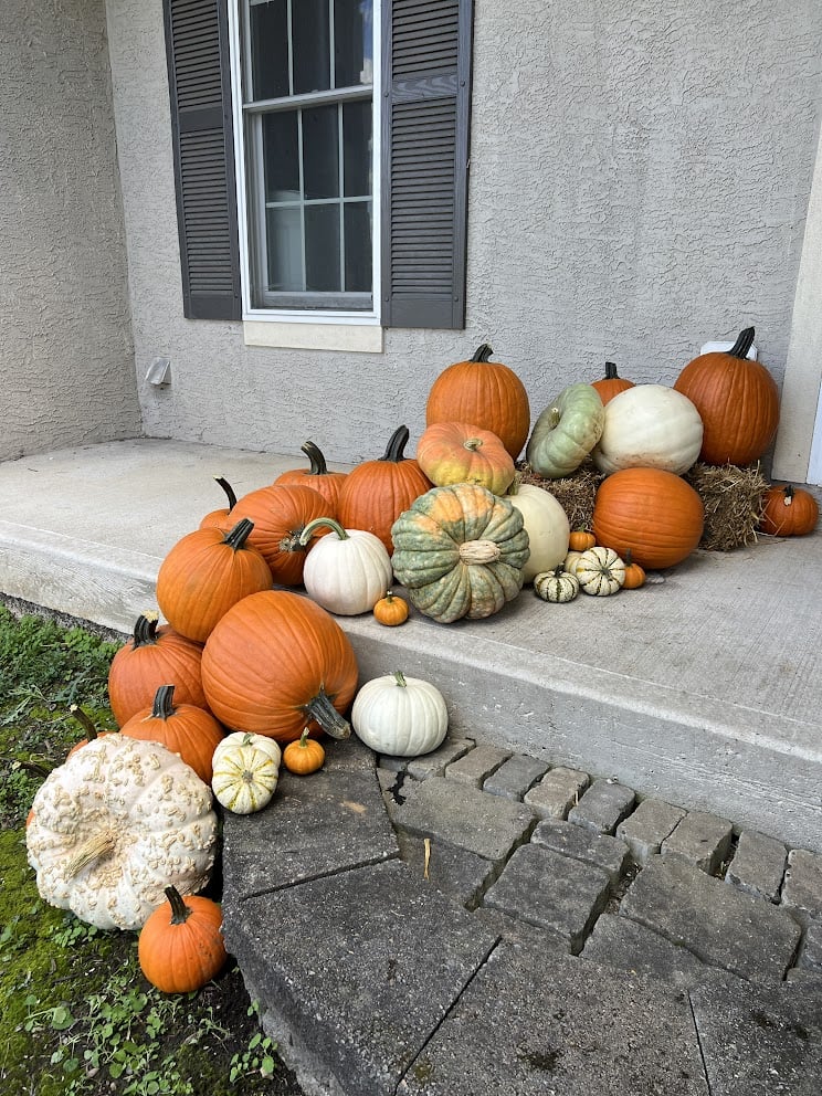 Package #2 - Pumpkin Lover - Image 4