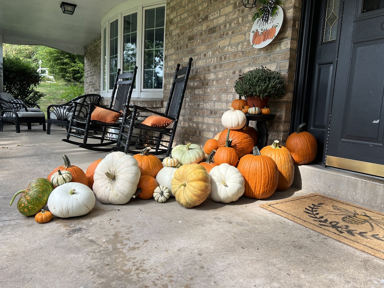 Package #3 - Fall Fanatic - Image 3