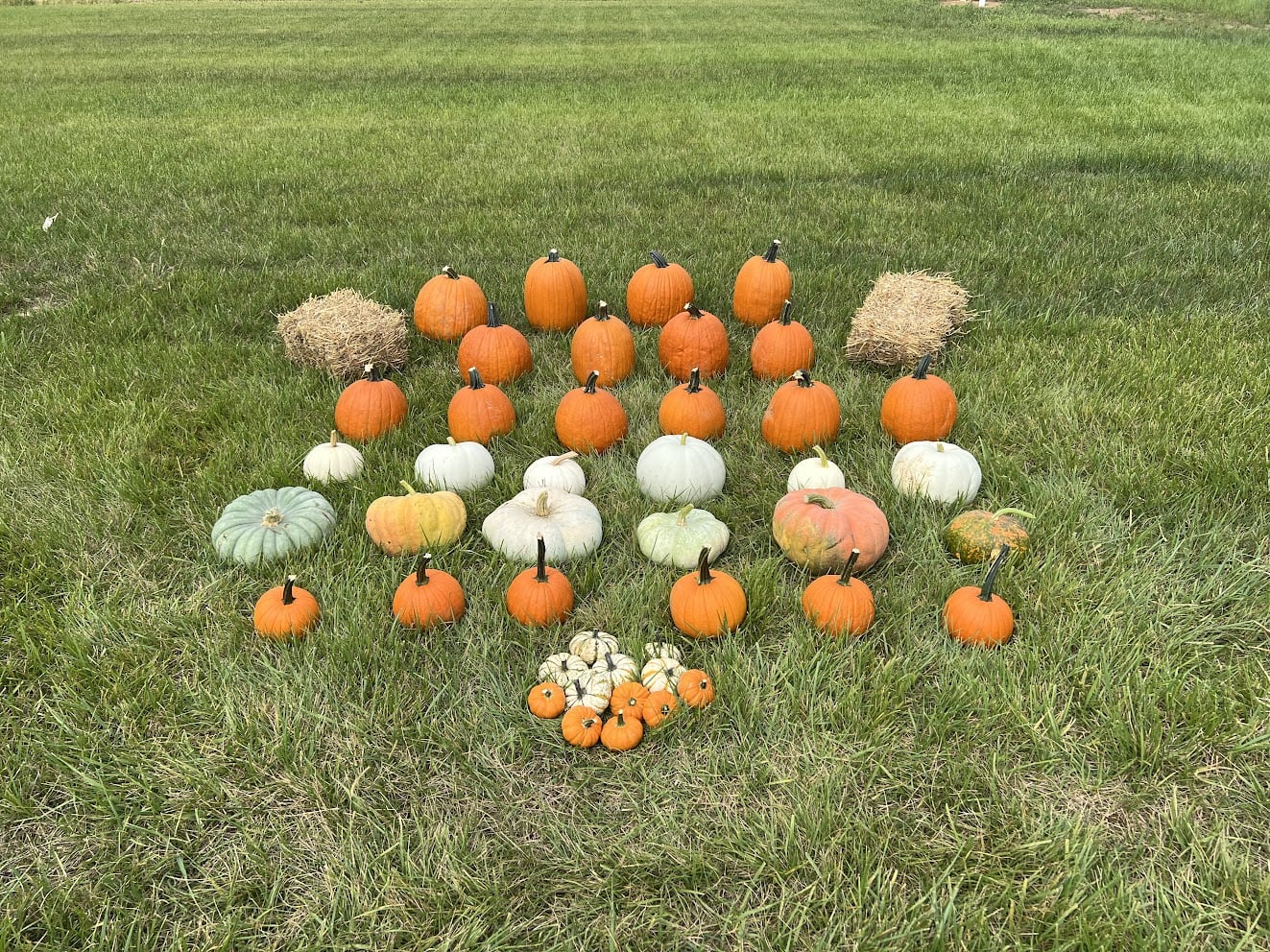 Package #2 - Pumpkin Lover
