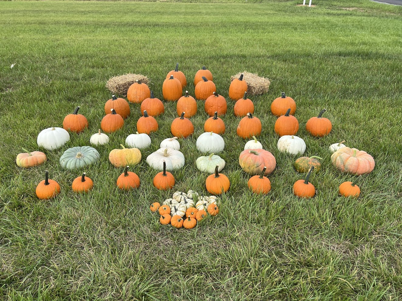 Package #3 - Fall Fanatic